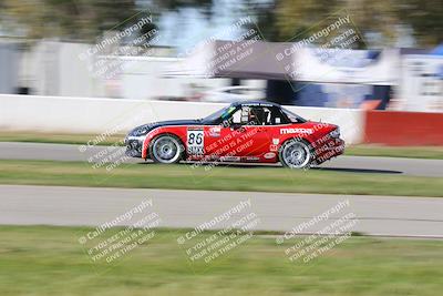 media/Mar-16-2024-CalClub SCCA (Sat) [[de271006c6]]/Group 6/Race/